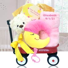Baby Girl Special Delivery Basket