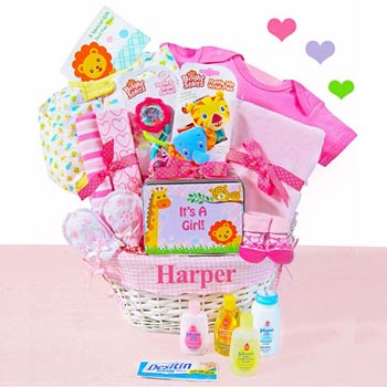 Baby Girl Jungle Gift Basket