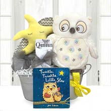 Baby Owl Gift Basket