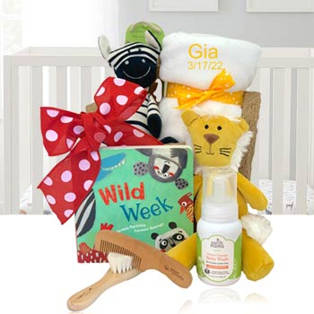 Safari Adventure Baby Basket