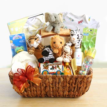 Noahs Ark Baby Gift Basket