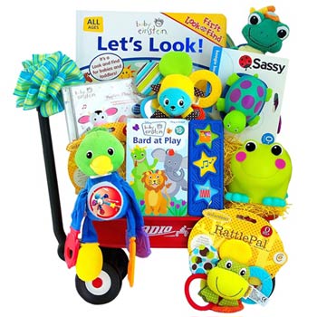 Baby Einstein Gift Basket