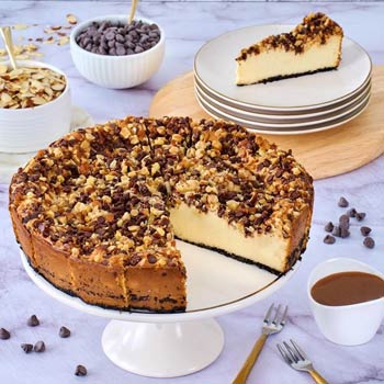 Gourmet Turtle Cheesecake