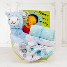 Gift Basket for Newborn Boy