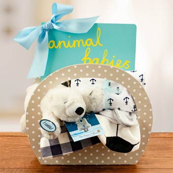 Gift Basket for Newborn Boy