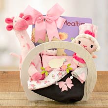 Hello Baby Girl Gift Basket