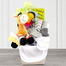 Gift Basket for Baby