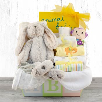 Newborn Basket for Baby