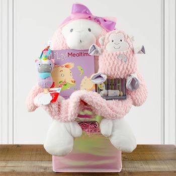 Baby Girl Monkey Mat Basket