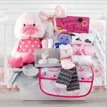 Deluxe Baby Girl Gift Basket