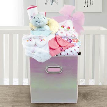 Baby Girl Layette Gift Basket