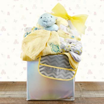 Special Delivery Basket for Baby