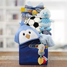 Baby Boy Special Delivery Basket