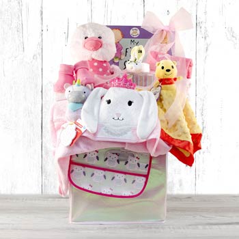 Baby Girl Special Delivery Basket