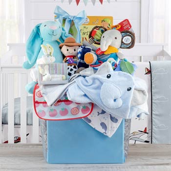 Precious Baby Boy Gift Basket