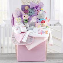 Precious Baby Girl Gift Basket