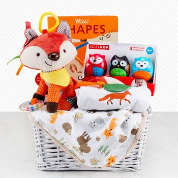 Sweet Fox Baby Gift Basket